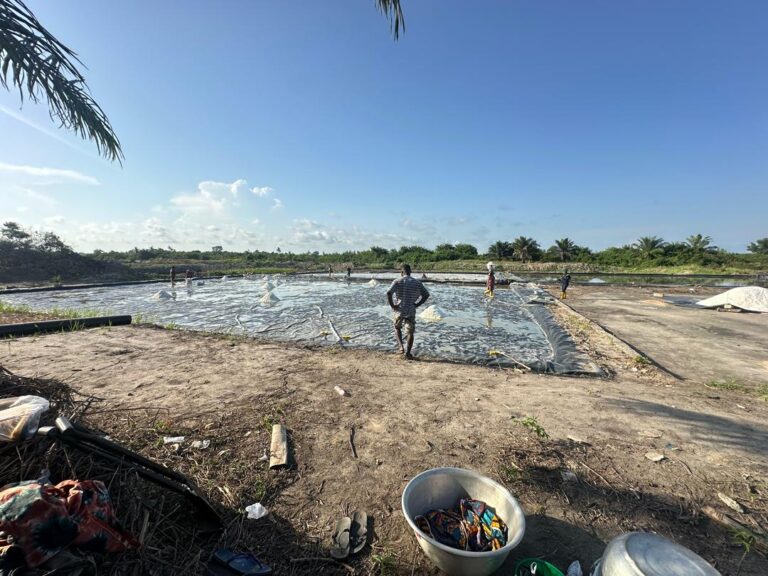 Powering West Africa’s Industrial Future - One Crystal at a Time